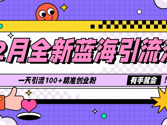 12月全新蓝海引流法，有手就会，一天引流100+精准创业粉