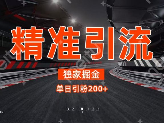 独家野路子精准引流 每日200+