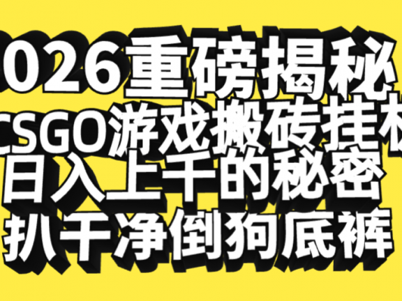 2026开年重磅解密，CSGO游戏搬砖挂机日入上千的秘密，把倒狗的底裤扒干净，毫无保留